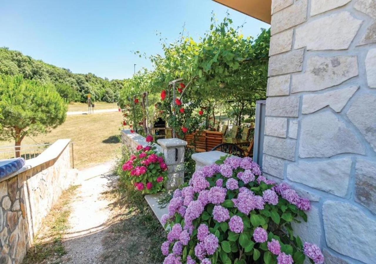 Adria Vrsar Apartment Bagian luar foto