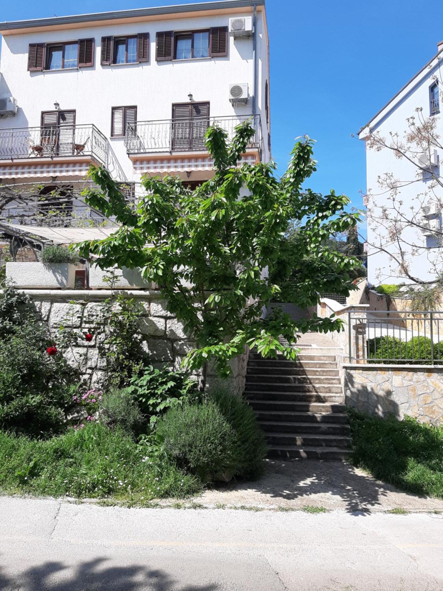 Adria Vrsar Apartment Bagian luar foto