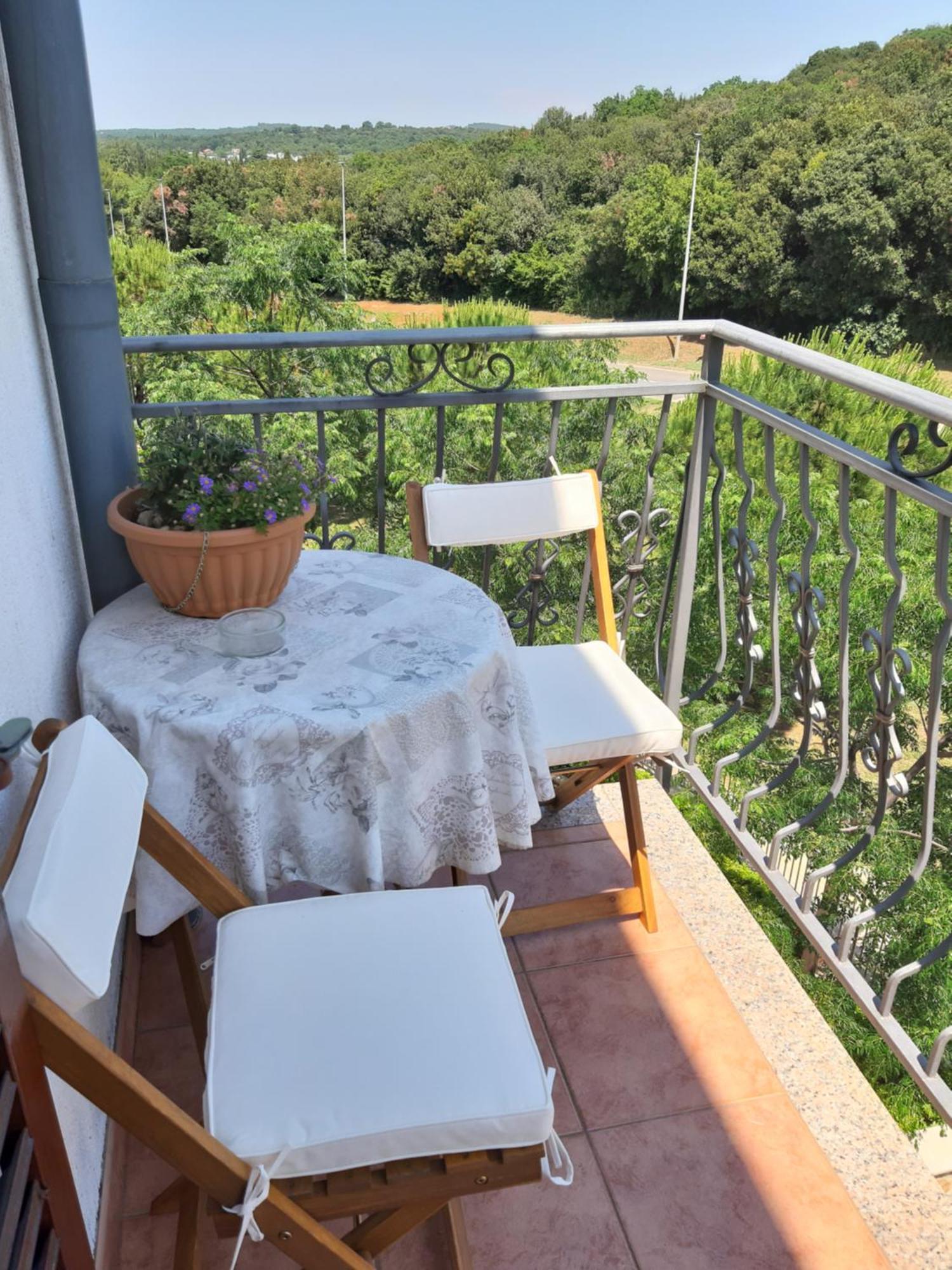Adria Vrsar Apartment Bagian luar foto